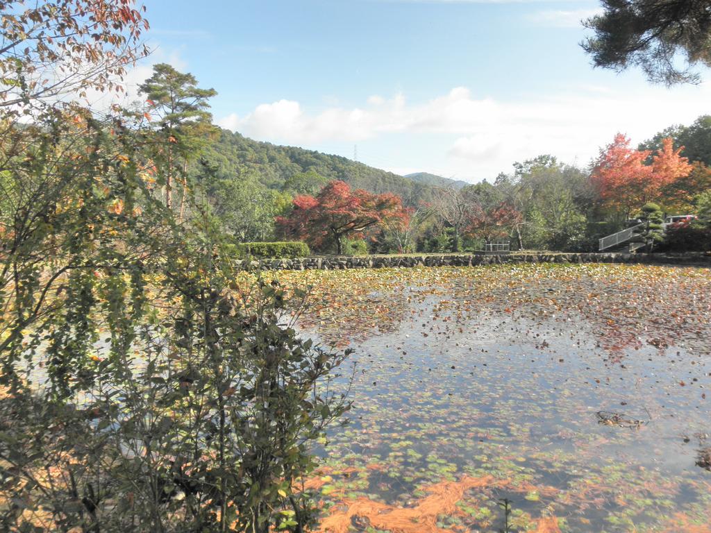 Готель Maple Inagawa Kawabe  Екстер'єр фото