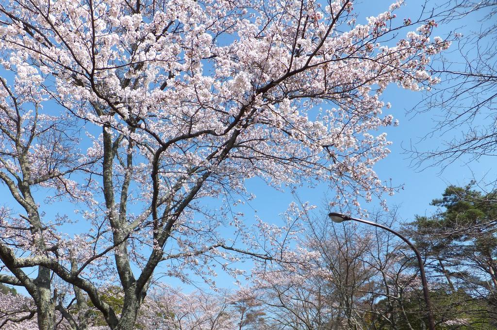 Готель Maple Inagawa Kawabe  Екстер'єр фото